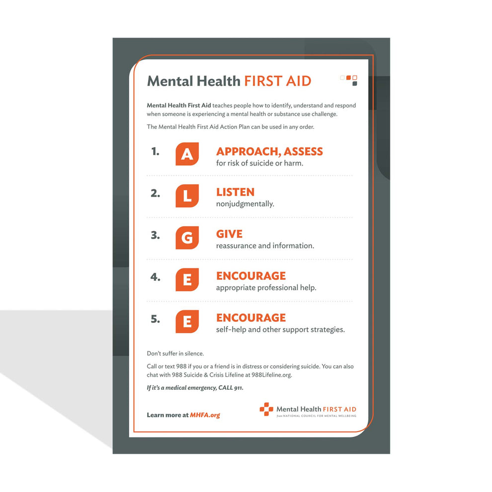 Mental Health First Aid Action Plan Poster – Mental Health First Aid USA