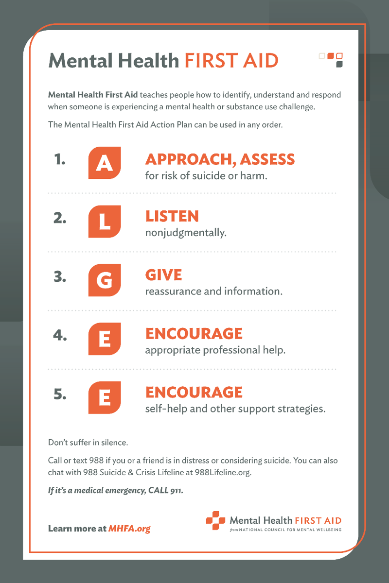 MHFA Action Plan Poster – Mental Health First Aid USA